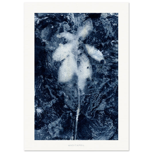 Petal Sea | Cyanotype Reproduction Print