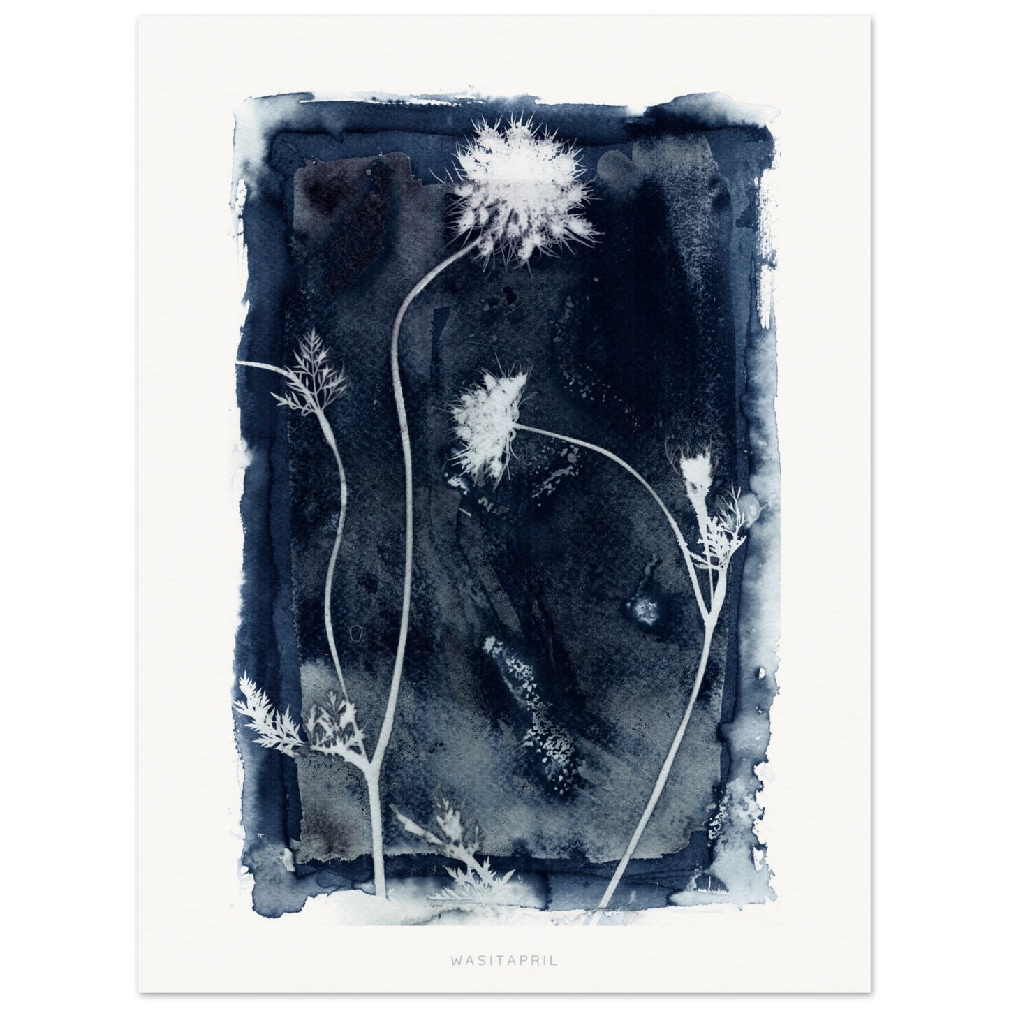 True Blossom | Cyanotype Reproduction Print