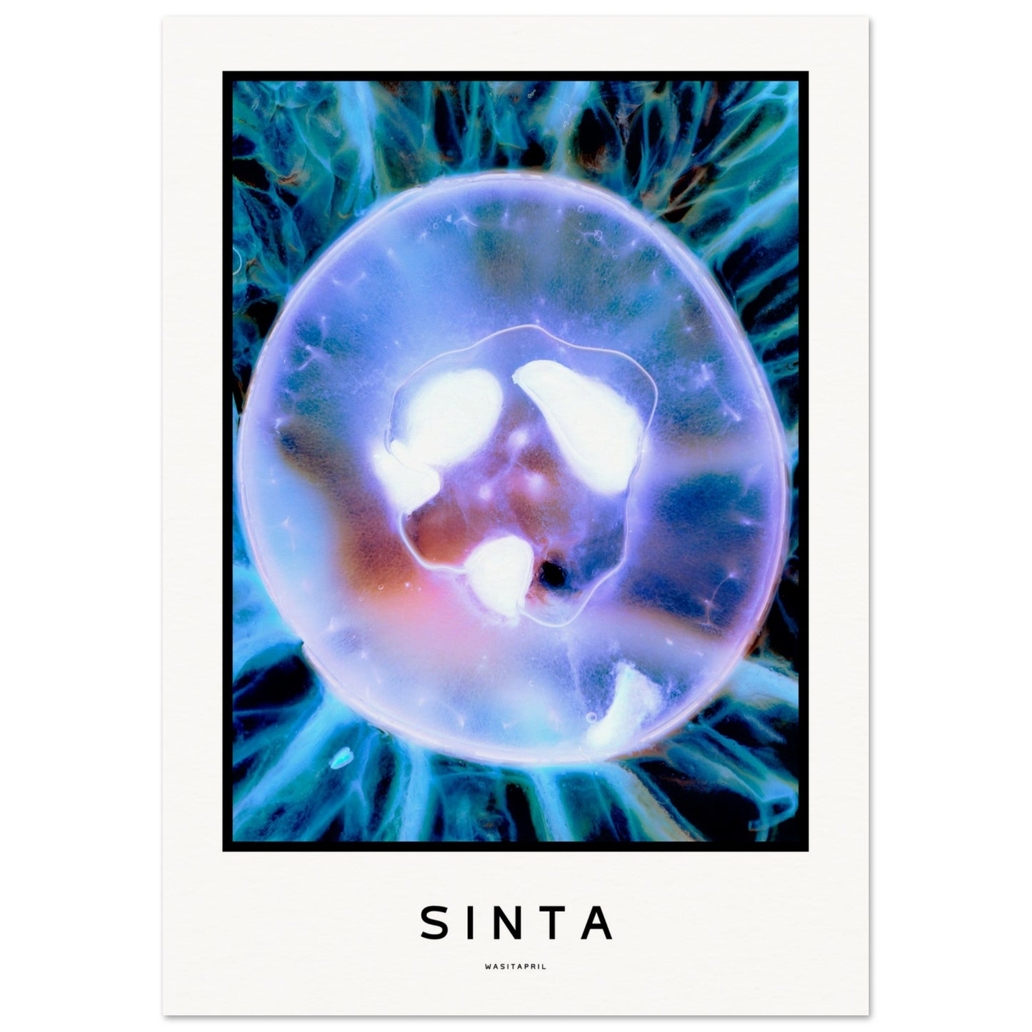 [SINTA - white edition] | Museum-Quality Poster