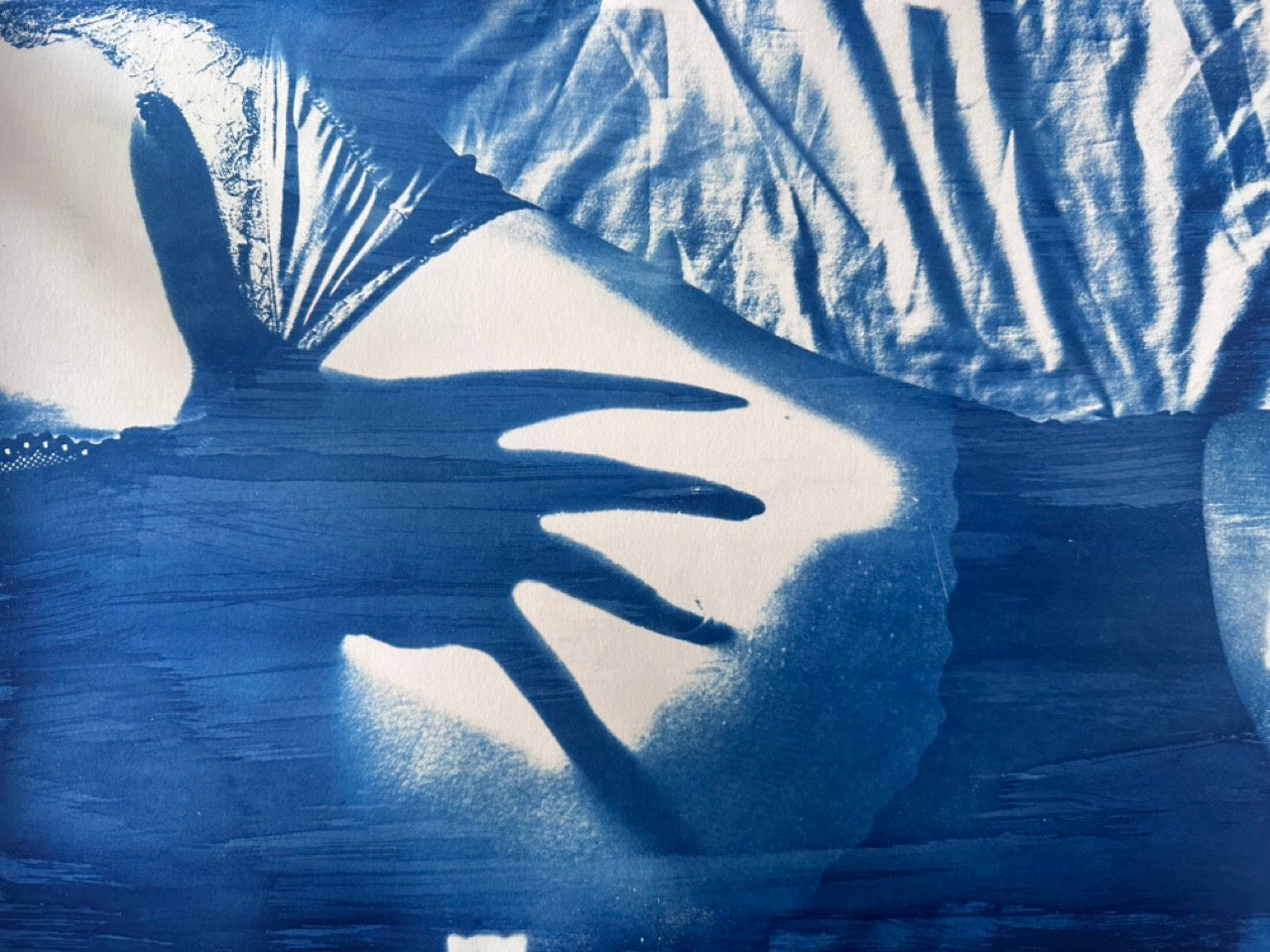 L'ombre (Original Cyanotype on Hahnemühle 30x40)