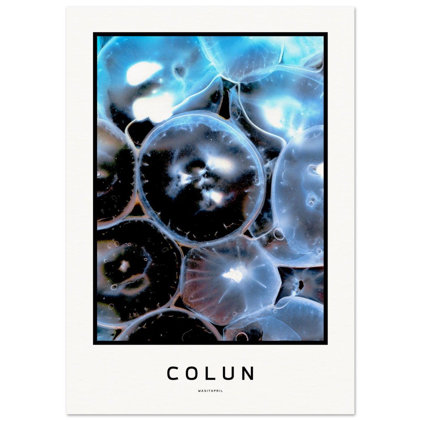 [COLUN - white edition] | Museum-Quality Poster